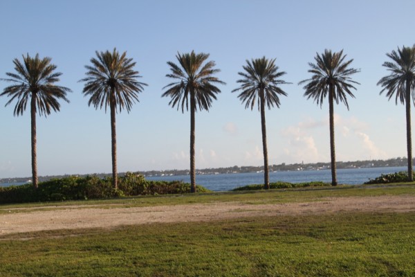 Beyonce on vacation (4)