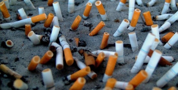 Cigarette Butts Cigarette Butts