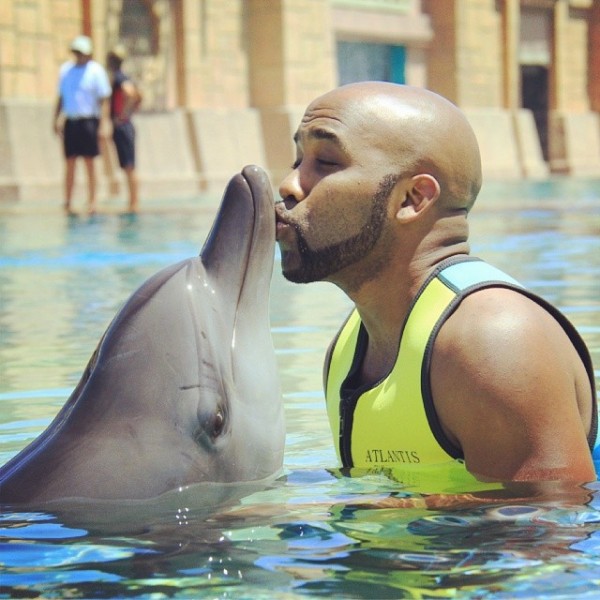 Banky W - Dolphin
