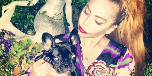 Lady Gaga carrying Asia. Photo: Fashion style.