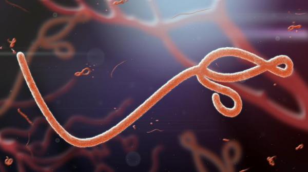 ebola