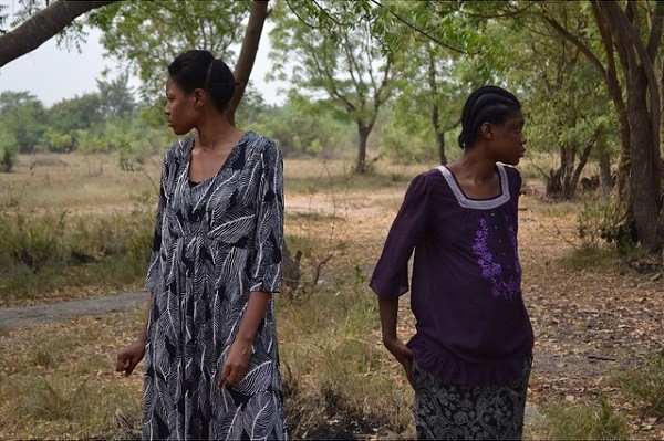 10932364_431536690331331_1563215586_n