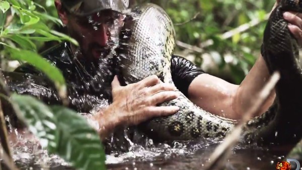 Anaconda 2