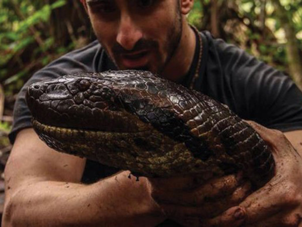 Anaconda1