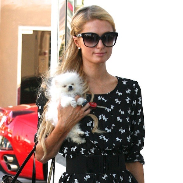 (Paris Hilton has been sent a classic car by an obsessive fan. Photo: Filed)