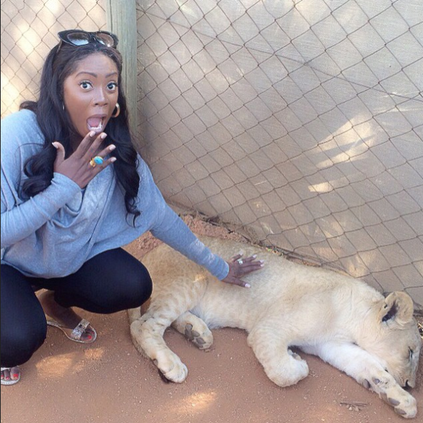 (Tiwa Savage in the Lions Park, South Africa. Photo: Instagram)