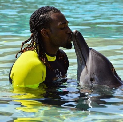 Gbenro Ajibade - dolphin 2