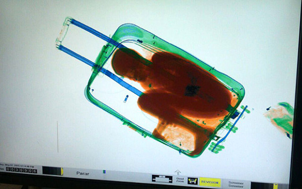 suitcase_3334431b