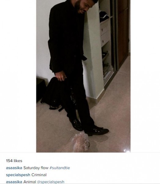 asa asika and Specia lspesh