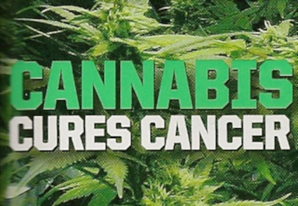 cannabis_cures_cancers