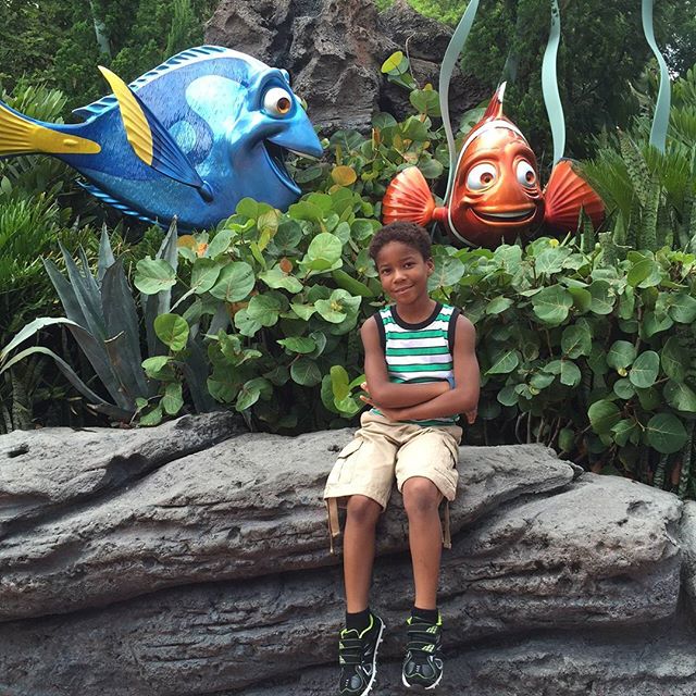 12501613_1743303739221647_297151258_n