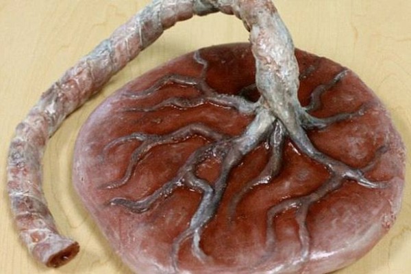 Katherine-Dey-Art-cakes (1)