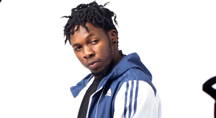 As regards the development of new artists, very few labels have a clear developmental plan for their artists.