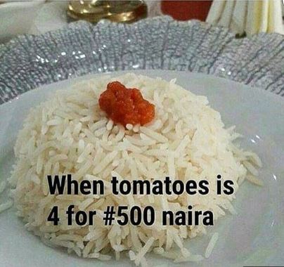 tomato