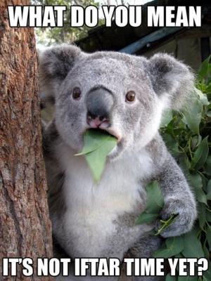 2016 Ramadan funnies (8)