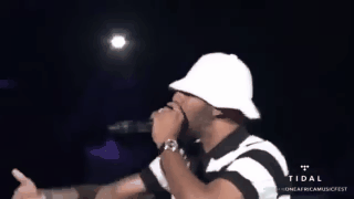 Wizkid brought out Swizz Beatz