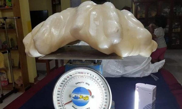 The enormous pearl is reportedly 30cm wide (1ft), 67cm long (2.2ft) and weighs 34kg (75lb).