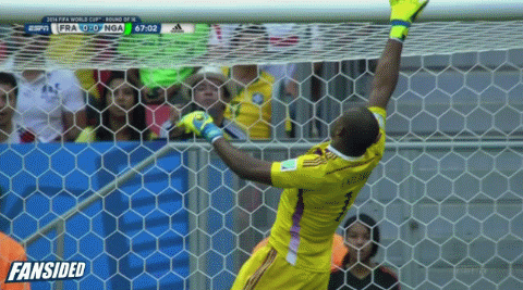 Vincent Enyeama