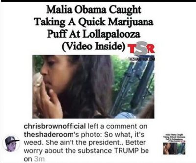 Forget Malia, Chris Brown more concerned about what Donald Trump is smoking