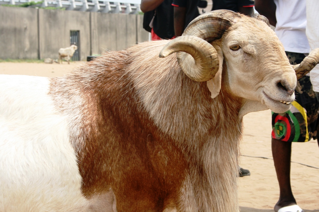 Bobrisky Ram