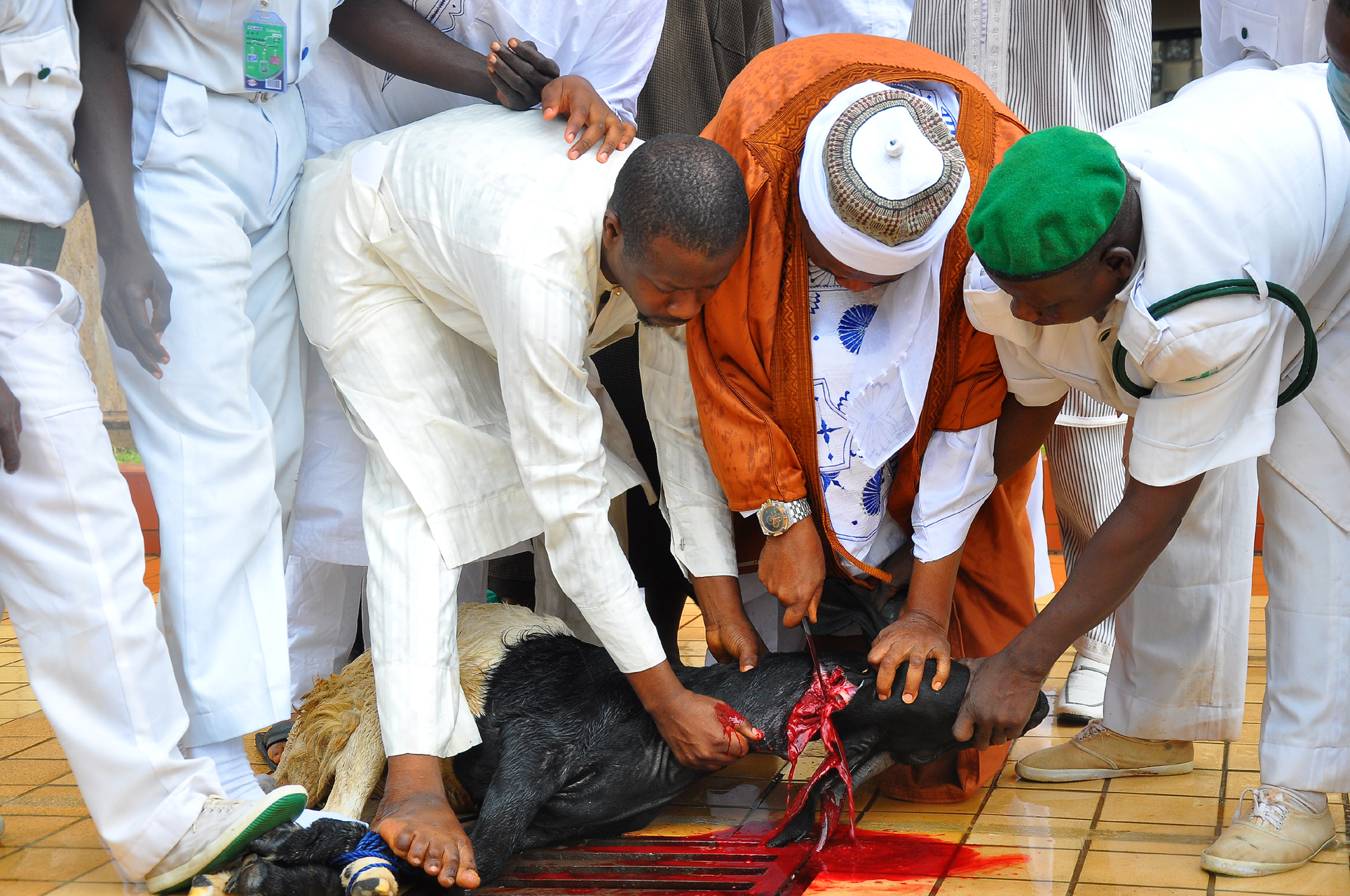 Deputy Chief Imam Abuja National Mosque, Seik Ahmen Onilewura being assisted to kill Sallah ram in 2014.