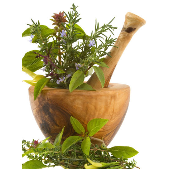 Leaves are crushed to get herbal bitters