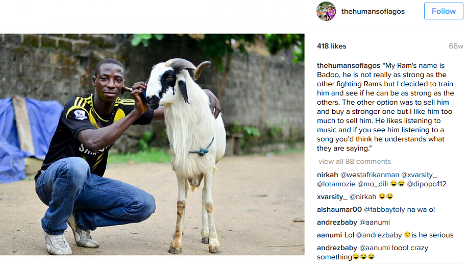 A ram named Badoo and is master.