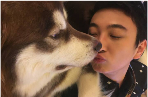 Wang Sicong dog