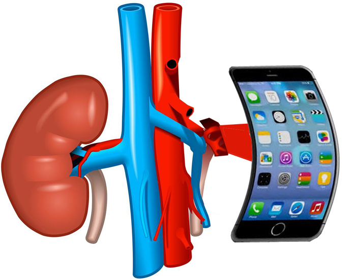 You don't know who has two kidneys and who has one. But you notice an iPhone 7 owner immediately. So you choose!