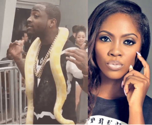 Davido and Tiwa Savage snake