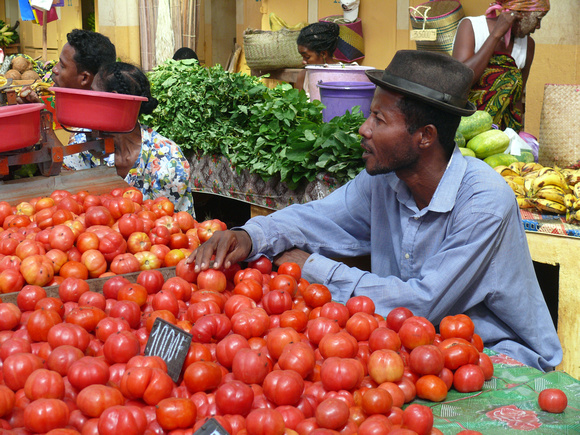 You should buy tomatoes if you wish to lighten your skin