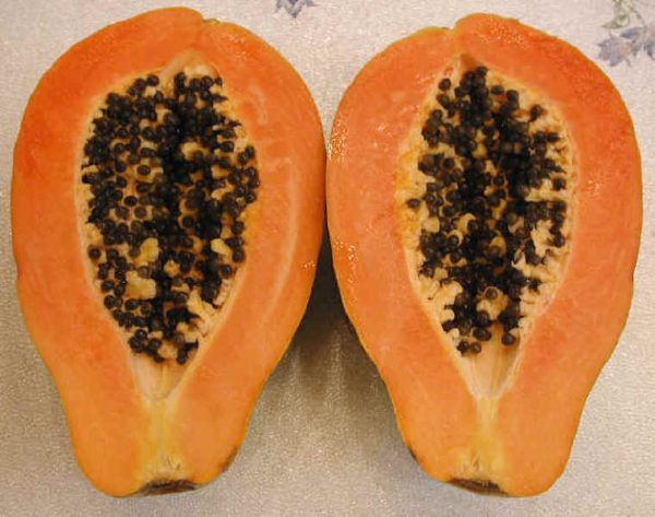 papaya