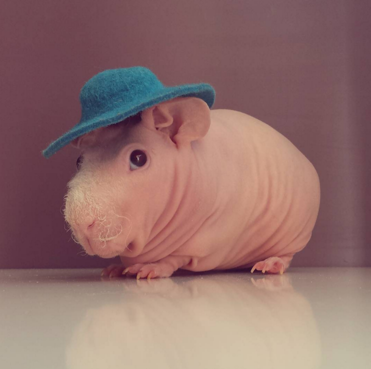 Give it up for Ludwik.