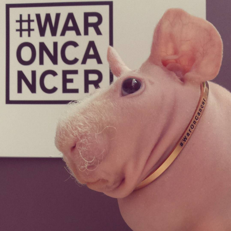 When he endorsed the #WaronCancer movement by rocking it’s bracelet.