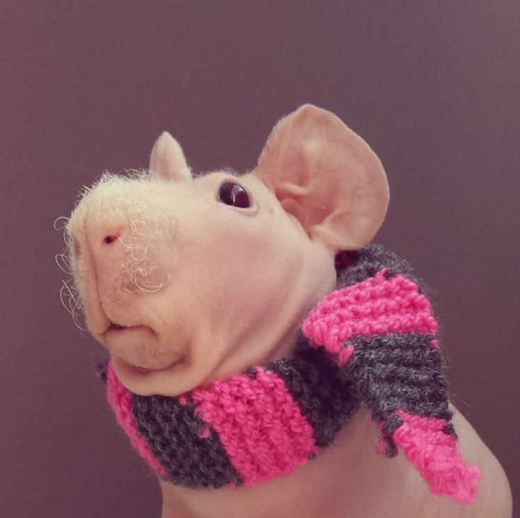 He models for brands too.