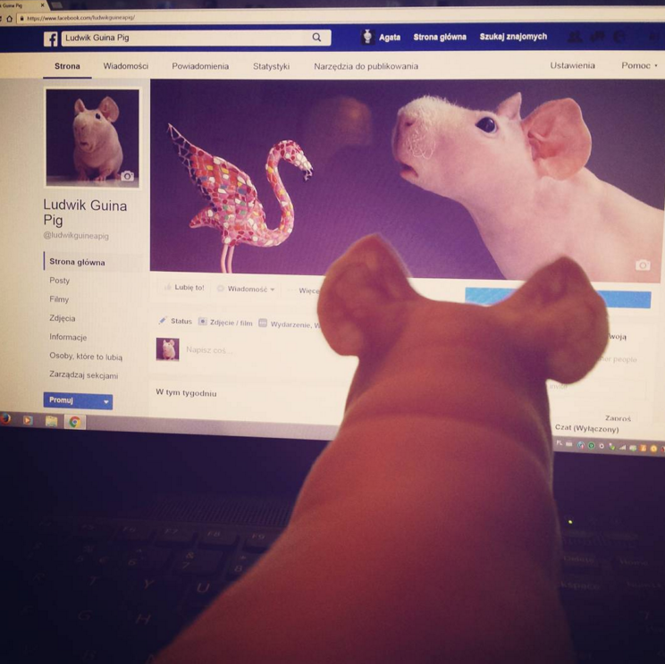 He also has a Facebook fan page.