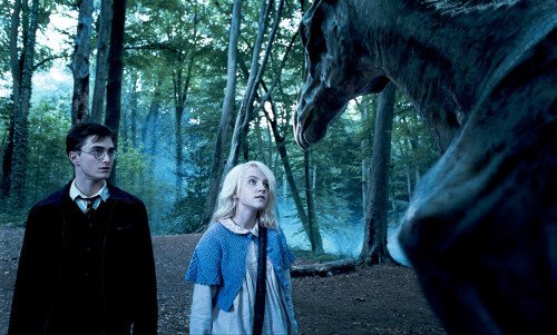 Remember the little witch Luna that controlled the invincible dragons?