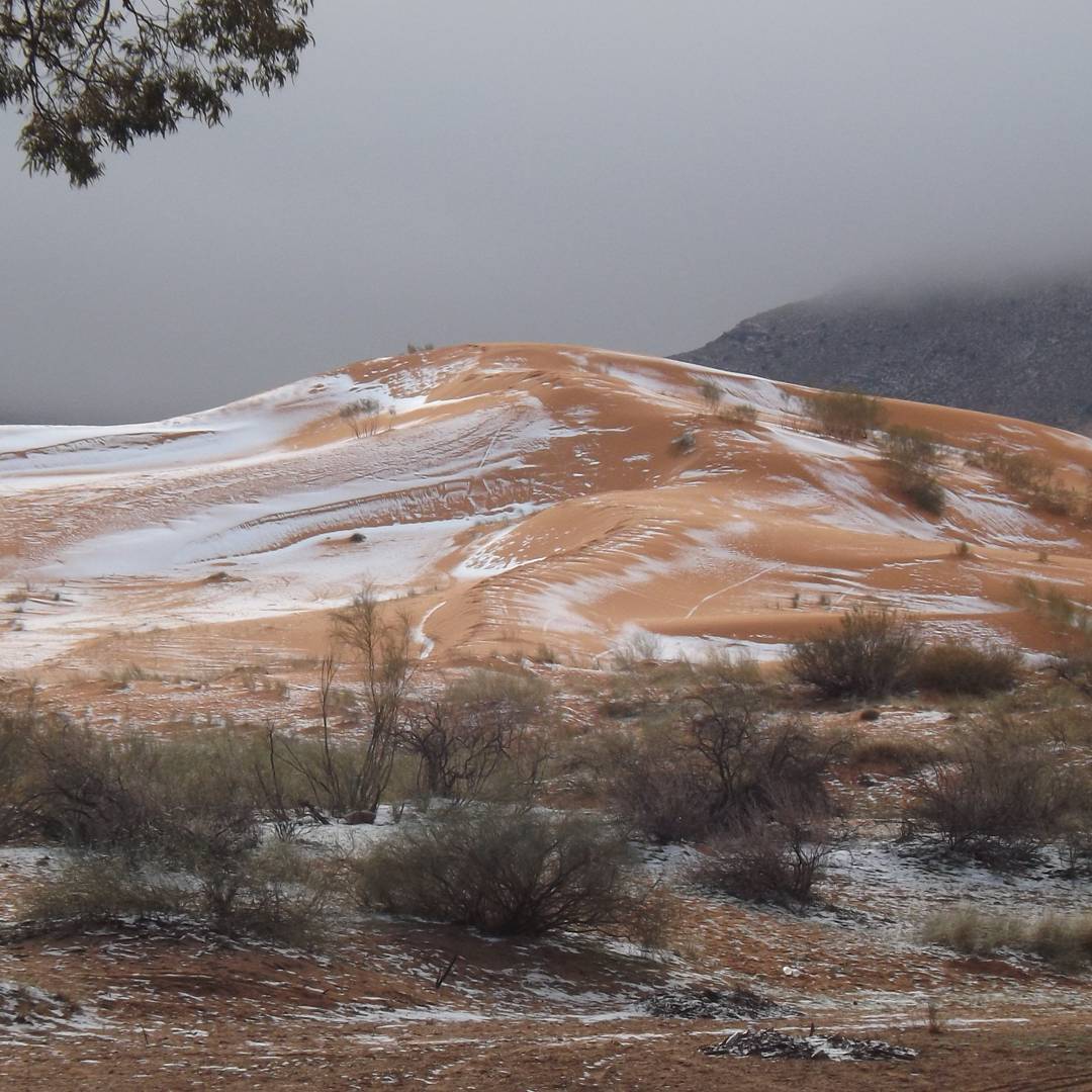 15535462_914715521961699_4495049030383960064_n