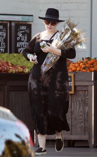 3BAD3D3A00000578-0-image-m-50_1482970398952