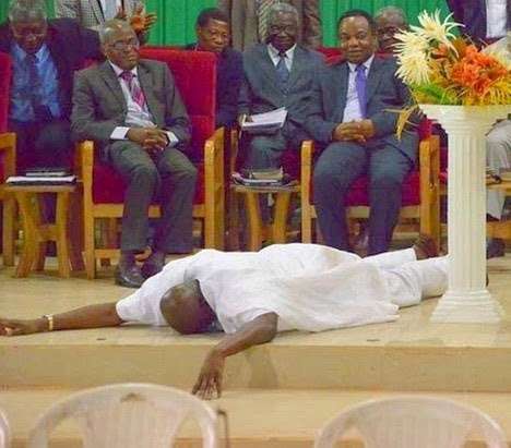 Fayose_prostrate