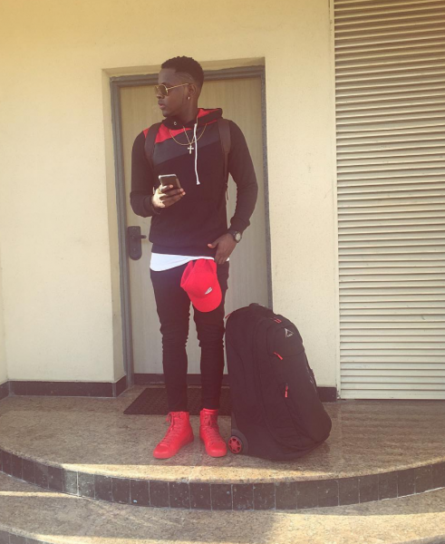 These colours were made for you