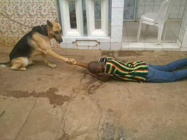 funniest #BidoungChallenge memes10