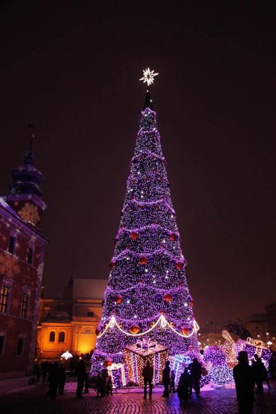 Purple Christmas tree