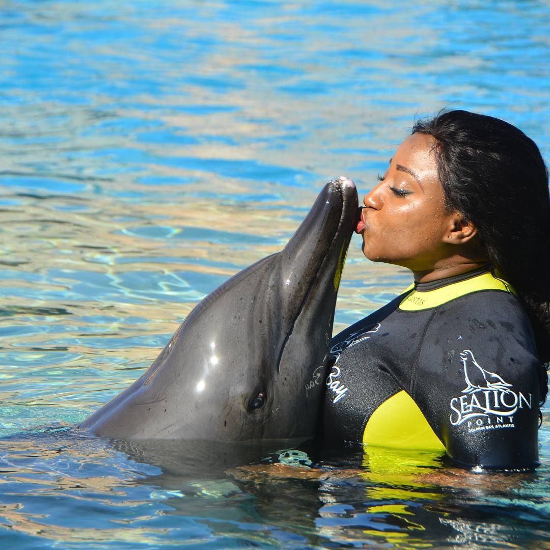 My new Dolphin lover