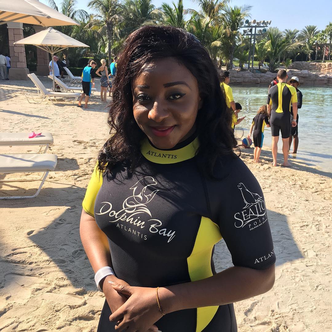 before swimming with the dolphins