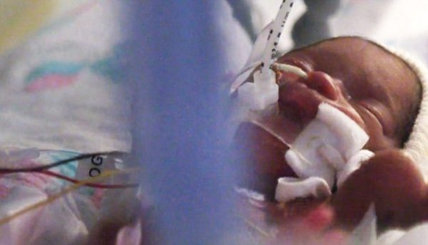 One of Priscilla's babies