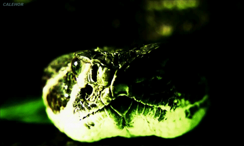 Nothing to be scared about