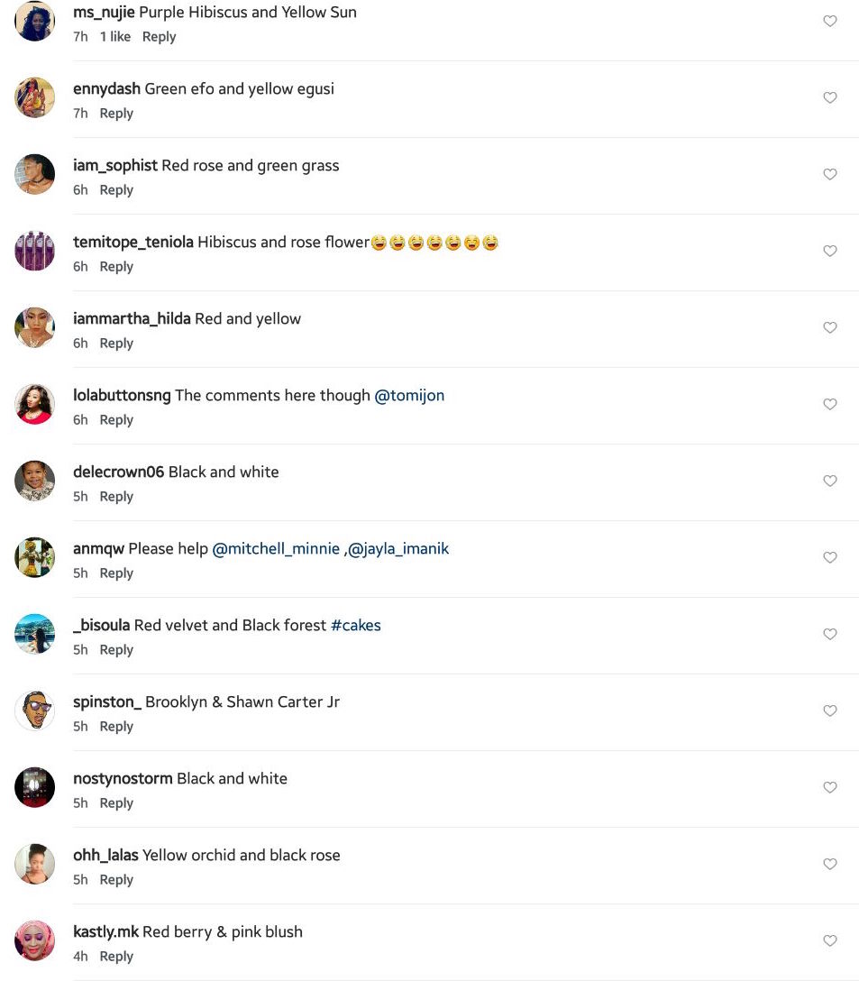 These are the names Beyonce’s fans suggest for her twins