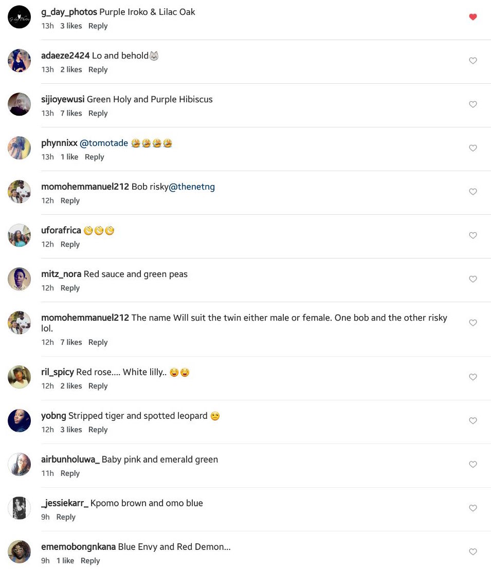 These are the names Beyonce’s fans suggest for her twins1