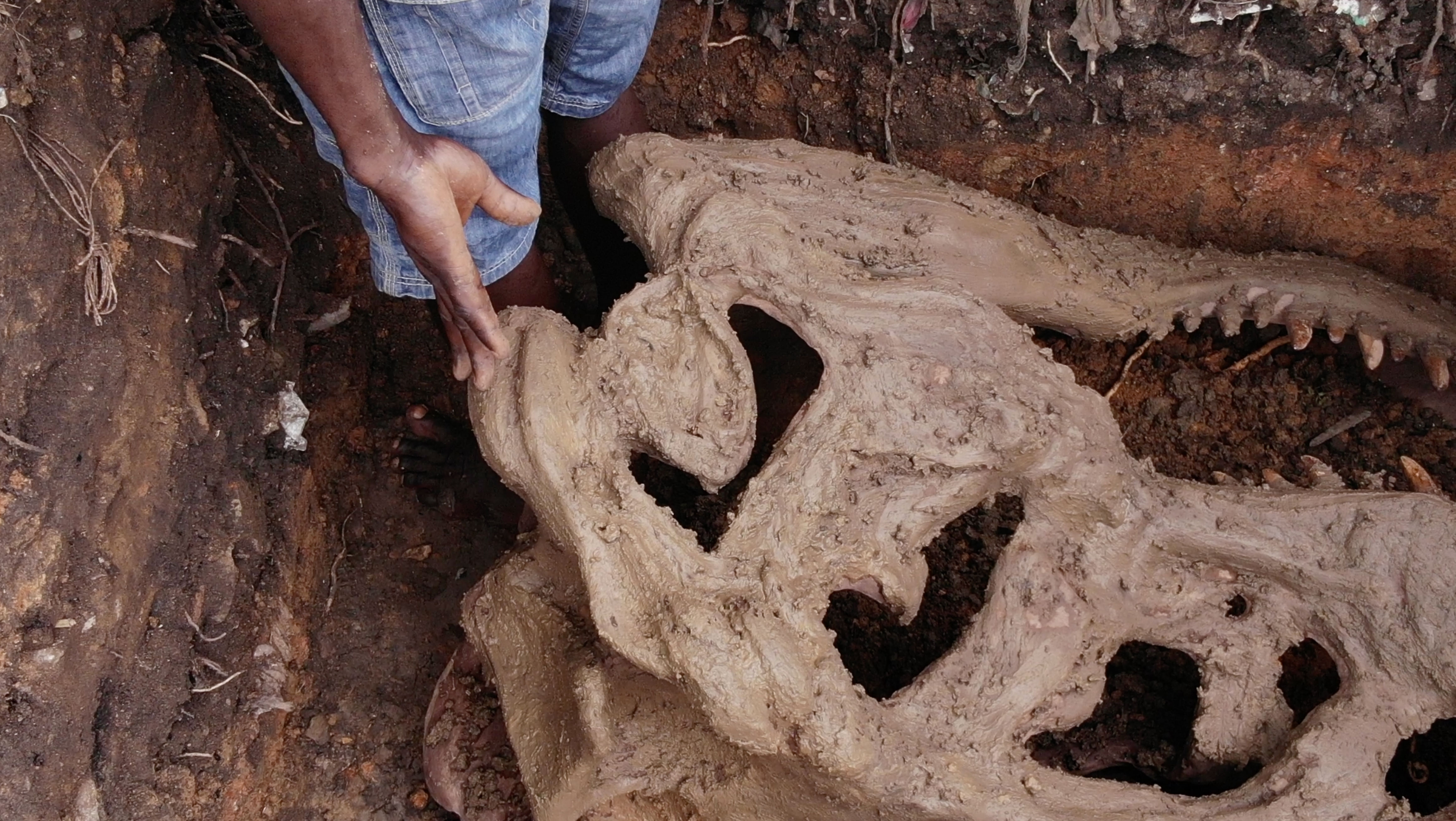 Bizzare Five Reason We Shouldn’t Be Too Surprise At The Dinosaur